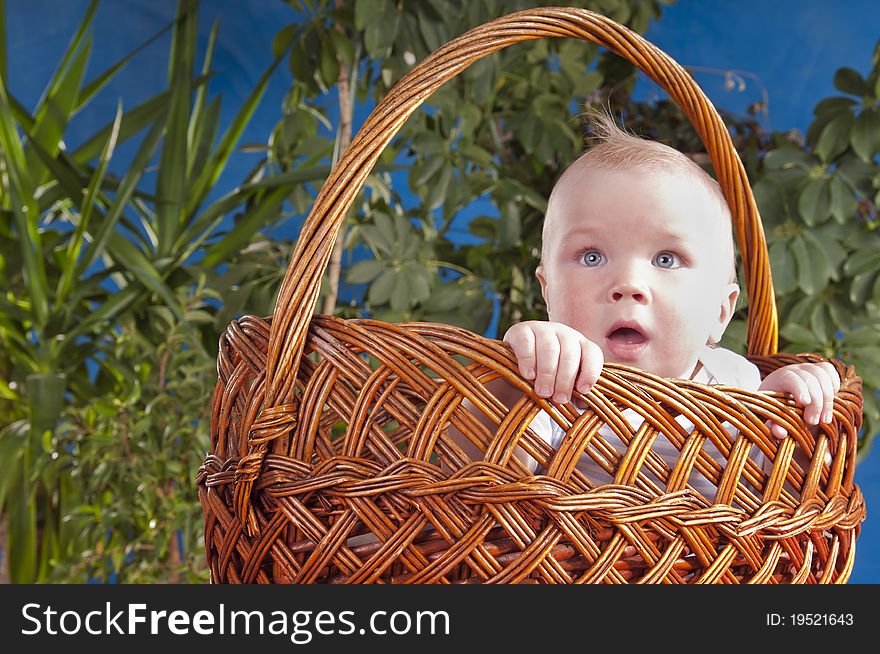 The Baby Sits In A Large Basket