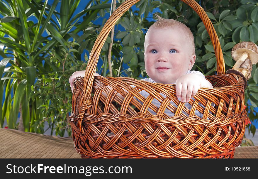 The baby sits in a large basket