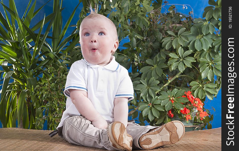 Baby sits on a background of green shrubs.