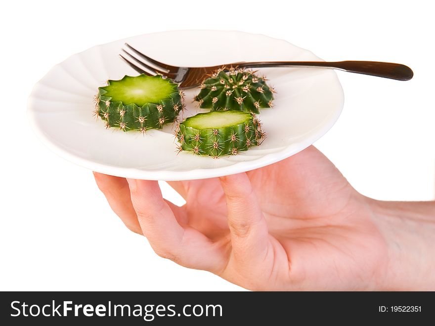 Slices of Cactus placed in a plate. Slices of Cactus placed in a plate