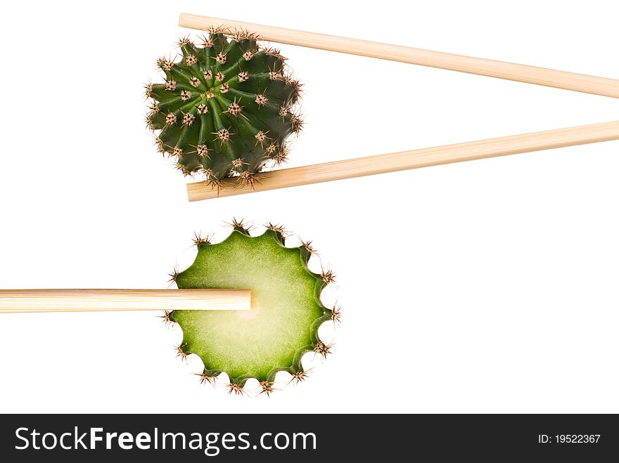 Cactus and sliced cactus in chopsticks isolated on white background