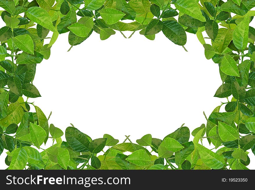 Creative frame made of spring leaves isolated on white