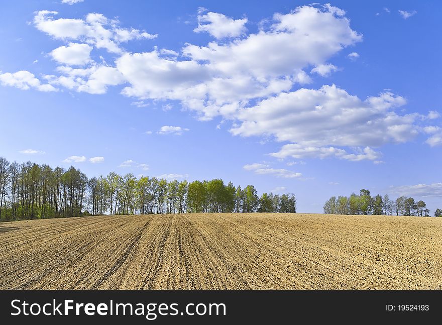 Spring Landscape