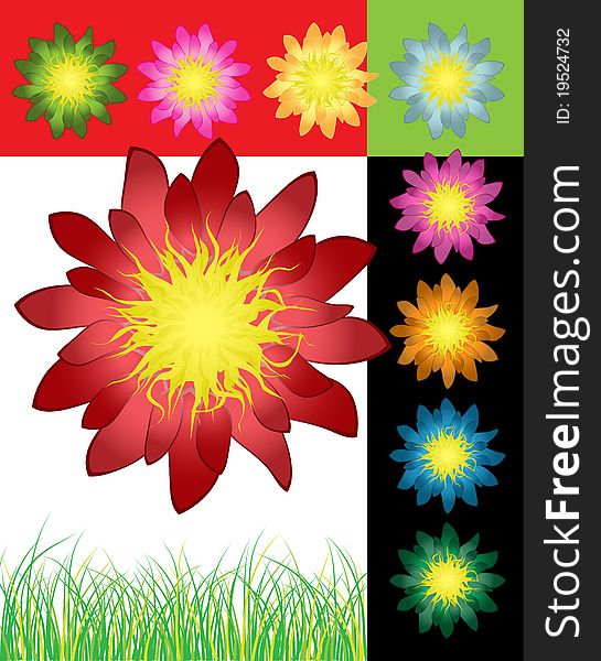 Varicolored set of detailed flowers,  illustration. Varicolored set of detailed flowers,  illustration
