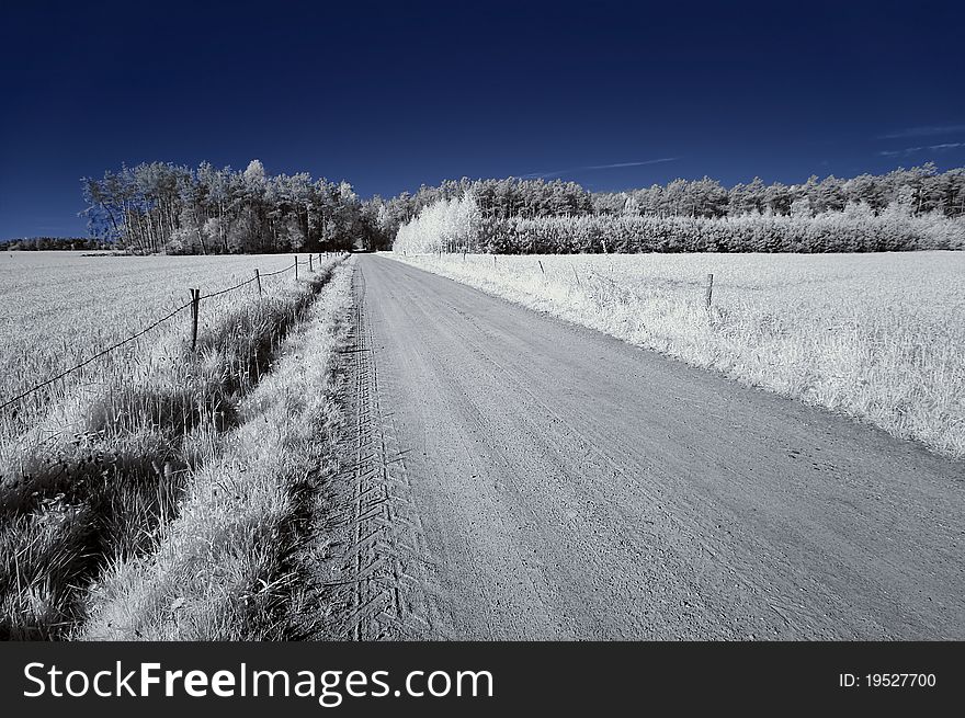 Spring landscape in the infrared