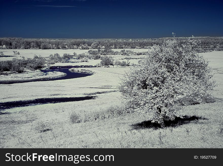 Spring landscape in the infrared