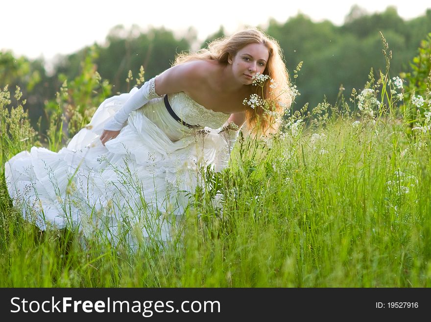The bride in white dress standing in tall grass and sniffing wildflowers. The bride in white dress standing in tall grass and sniffing wildflowers