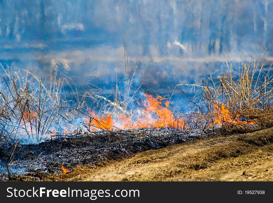 Burning dry grass last year - the fire and smoke