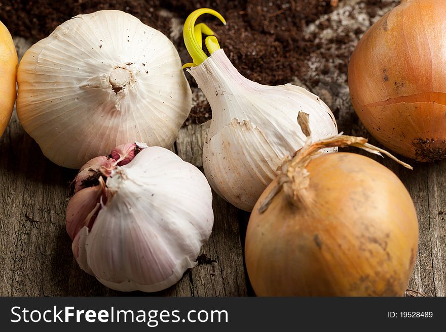 Garlics and onions on old wooden table