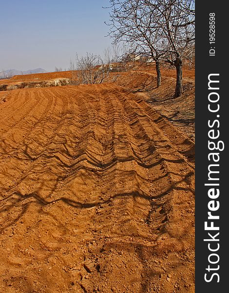 The fields began to plowing in spring. The fields began to plowing in spring.