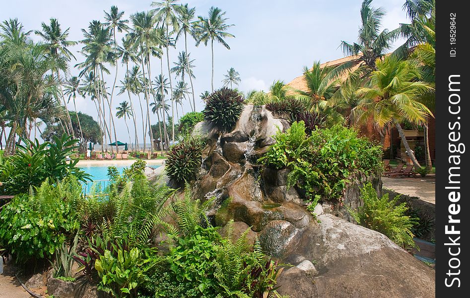 Garden decoration near swimming poll.Sri Lanka Resort.