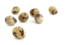 Quail Eggs Stock Photo Quail Eggs Stock Photo