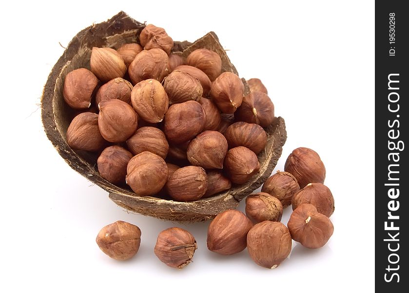 Heap of wood nuts in a coconut shell. Heap of wood nuts in a coconut shell