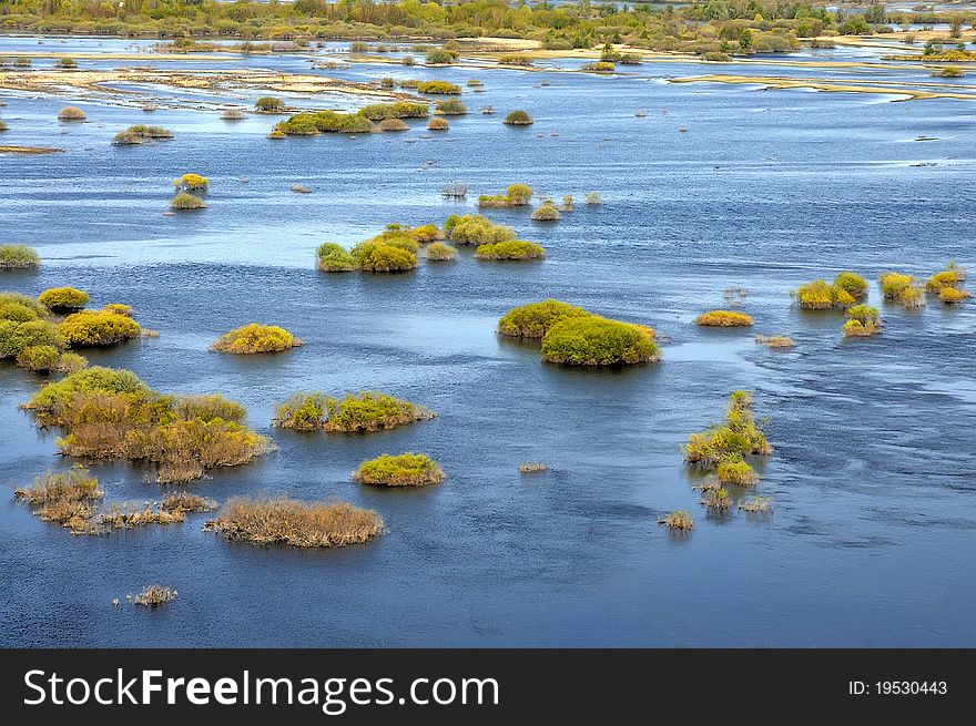 Floods in late spring. Meadows. Forests in the water. Floodplain river. Reserve.