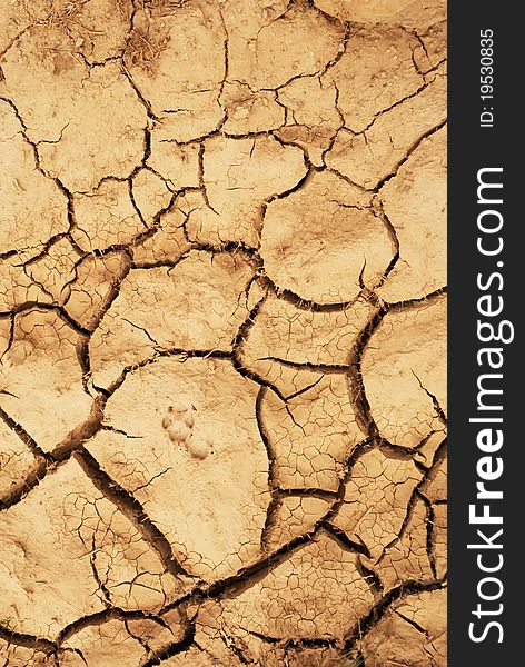 Global warming disastered land with erosion texture background