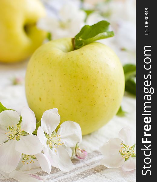 Fresh ripe apple with apple flower on background. Shallow depth, selective focus