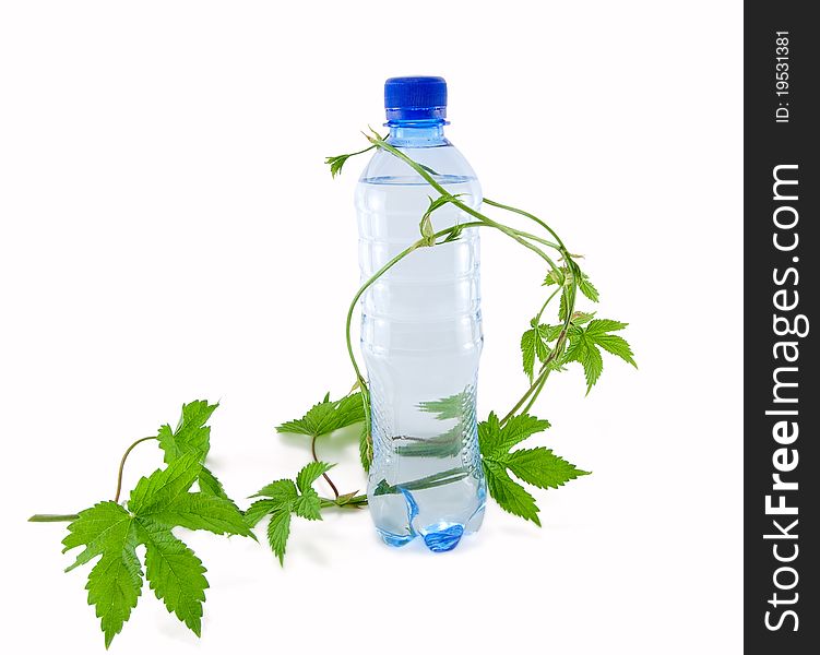 Bottle Of Water With A Sprig Of Flowers