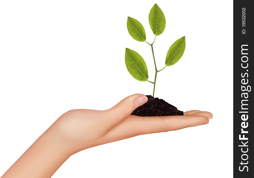 Person Holding A Young Plant. Vector.