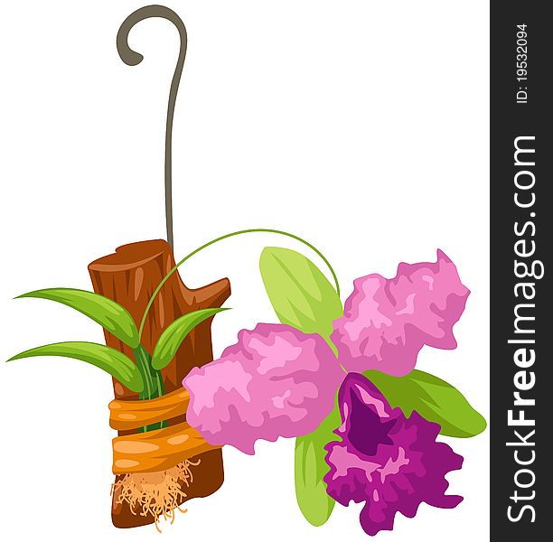 Illustration of isolated a beautiful orchid on white