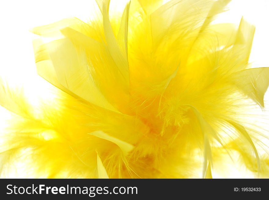 A bouquet of yellow feathers. A bouquet of yellow feathers