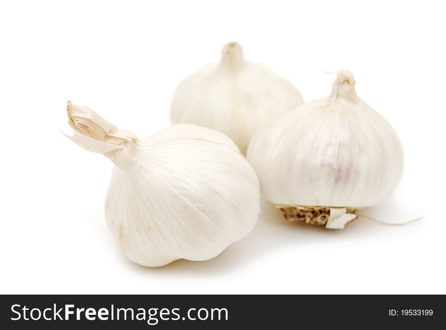 Garlic on white background.