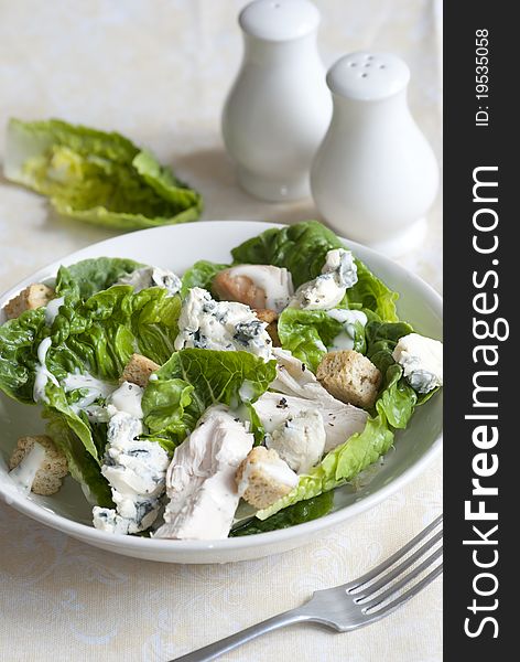 Chicken and blue cheese salad with croutons in a bowl. Chicken and blue cheese salad with croutons in a bowl