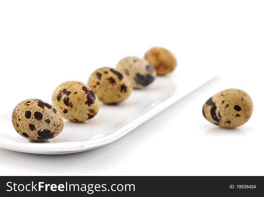 Quail eggs on white background