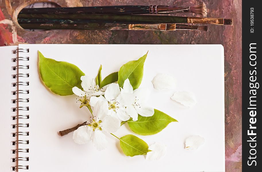 Palette of the artist and apple-tree flower. Palette of the artist and apple-tree flower