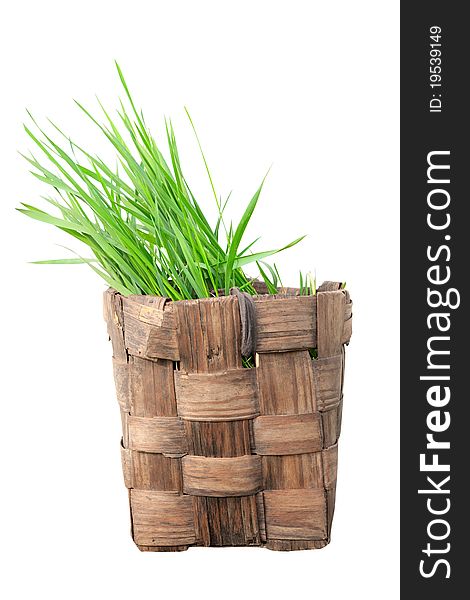 Isolated old basket with grass sticking out