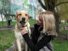 Beautiful Woman With Dog In The Park Stock Image