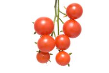 Cherry Tomatoes Stock Photos Cherry Tomatoes Stock Photos