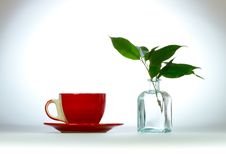 Cup Of Tea Royalty Free Stock Photo Cup Of Tea Royalty Free Stock Photo