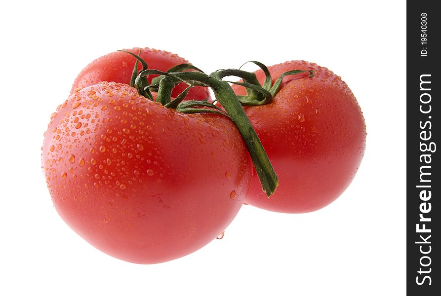 Tomatoes With Drops Of Water