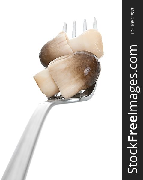 Gray edible salted mushroom in metal fork isolated on white