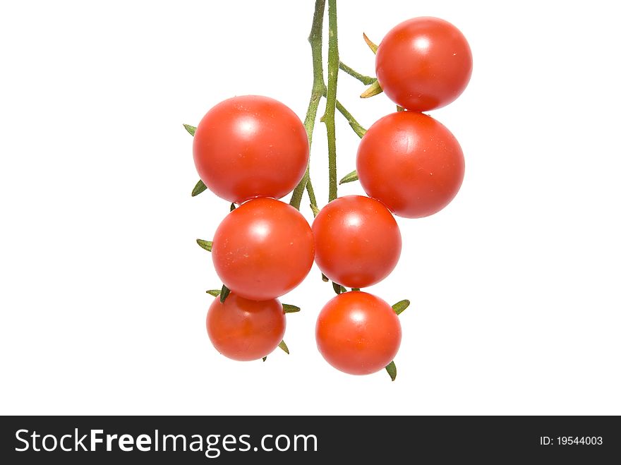 Cherry tomatoes bunch isolated on white