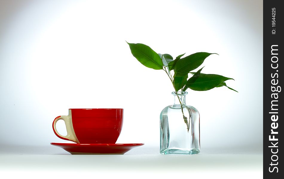 Cup of tea and Branch with green leaves in a bottle on a light background