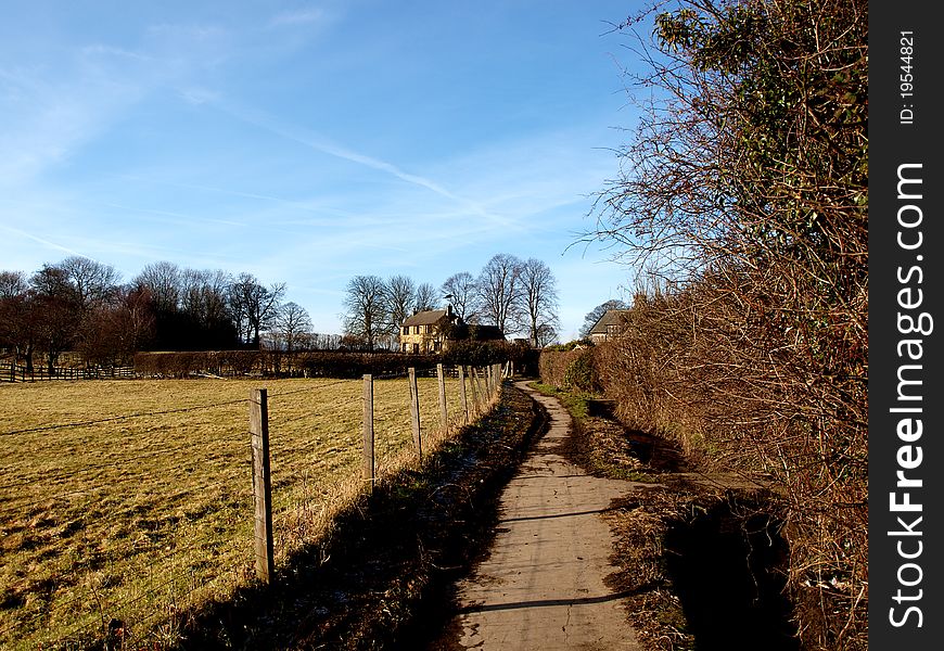 A long country lane at the edge of a field