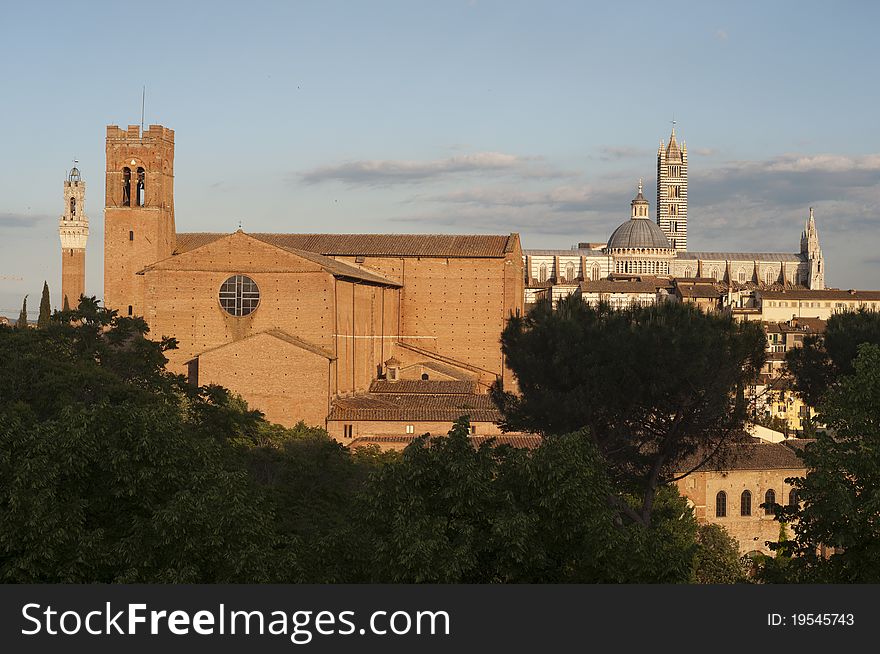 Panoramic view of Siena with trees silhouette in the foreground. Panoramic view of Siena with trees silhouette in the foreground