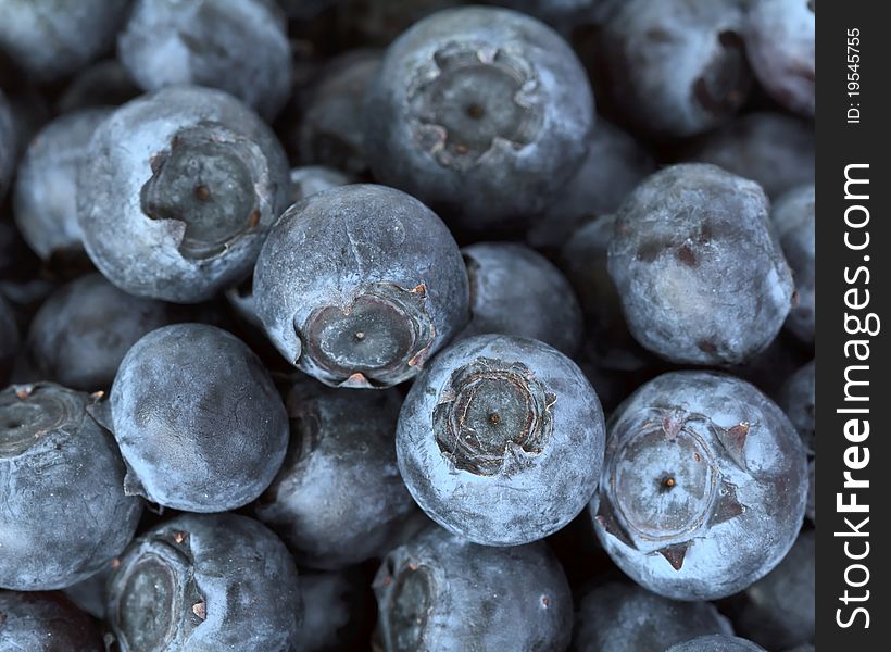 Fresh blueberries over white background
