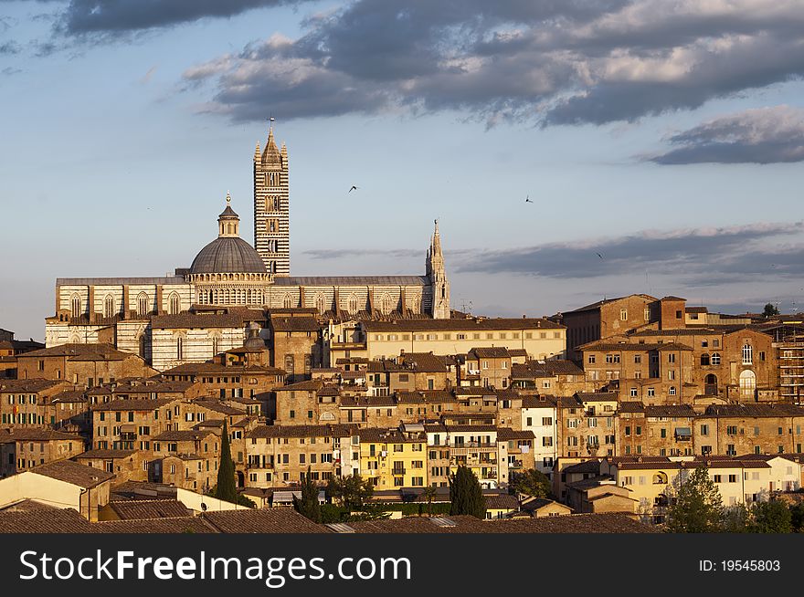 Panoramic view of Siena with the cathedral in the background