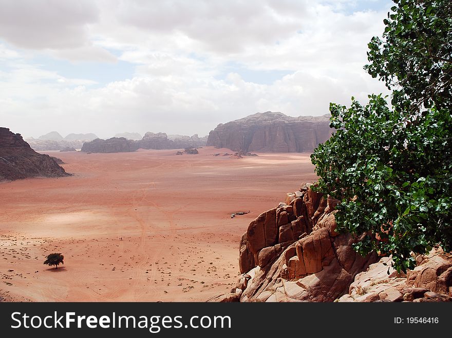 A view of the desert in wadi rum jordan from the laurence of arabia water spring. A view of the desert in wadi rum jordan from the laurence of arabia water spring