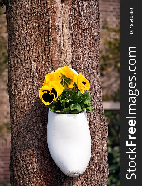 Traditional Dutch wooden clogs from growing in it with flowers, decorate the tree trunk. Traditional Dutch wooden clogs from growing in it with flowers, decorate the tree trunk.