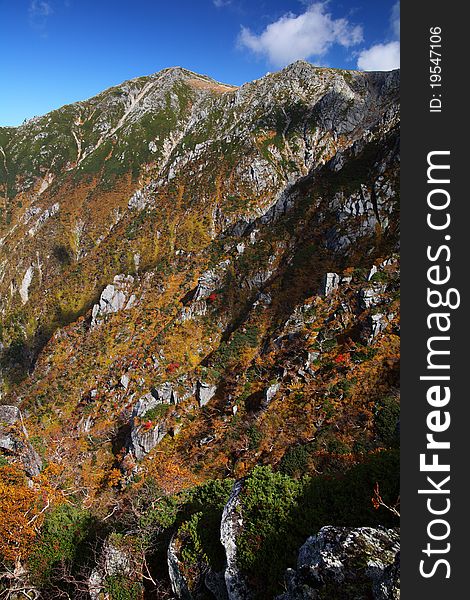 Mountain of autumn leaves in japan. Mountain of autumn leaves in japan