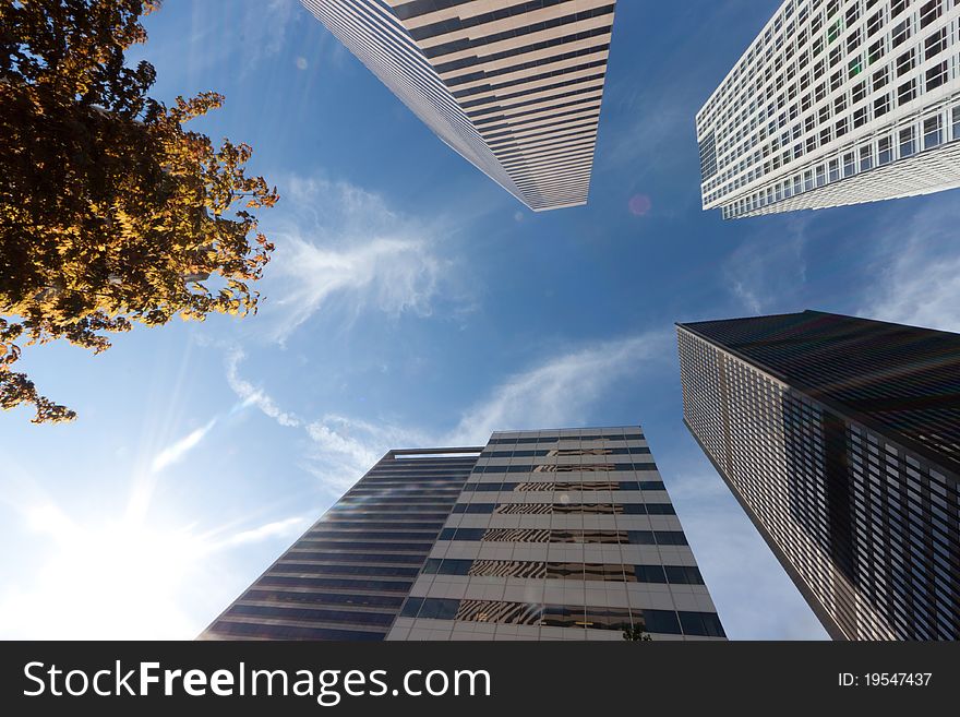 Sunlit Modern Office Buildings