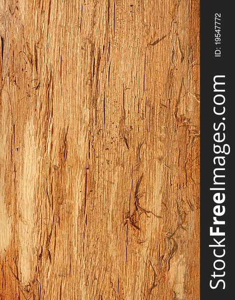 Old wooden background, stringy texture. Old wooden background, stringy texture