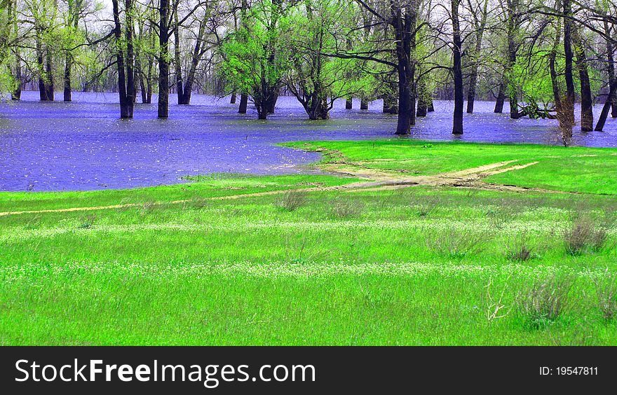 A Spring Landscape. The Flooded Trees