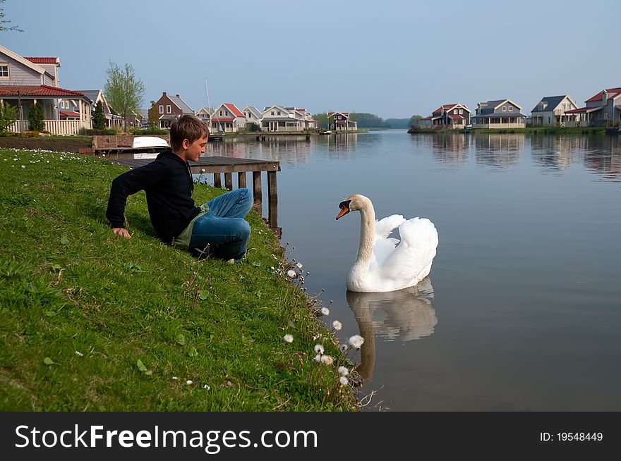 Boy And A Swan. Holland .