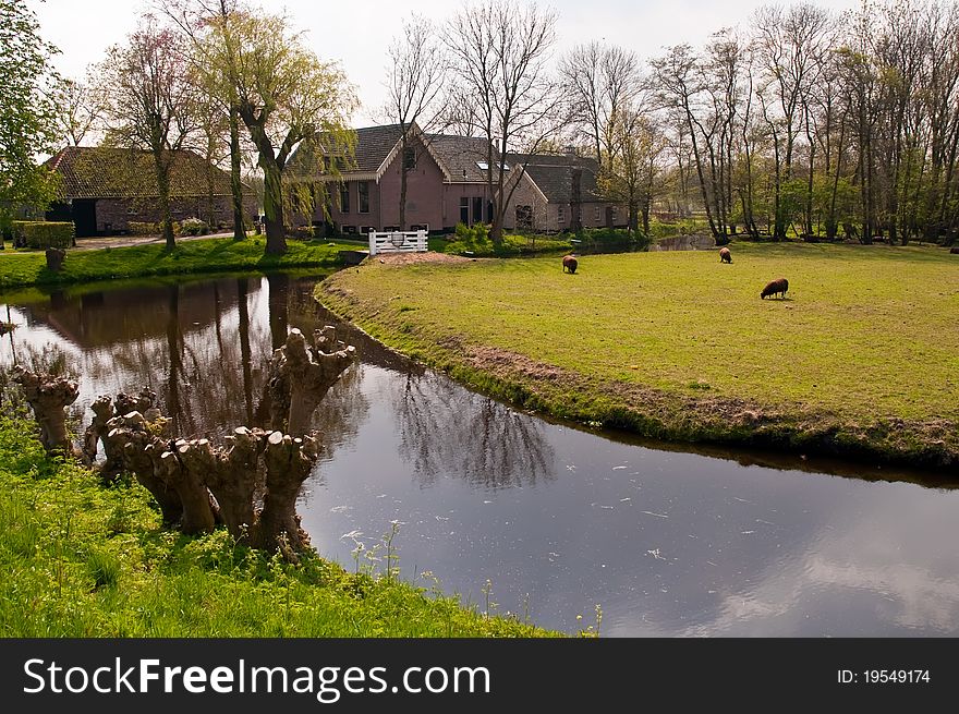 Rural house in village, Netherlands (Holland). Rural house in village, Netherlands (Holland).