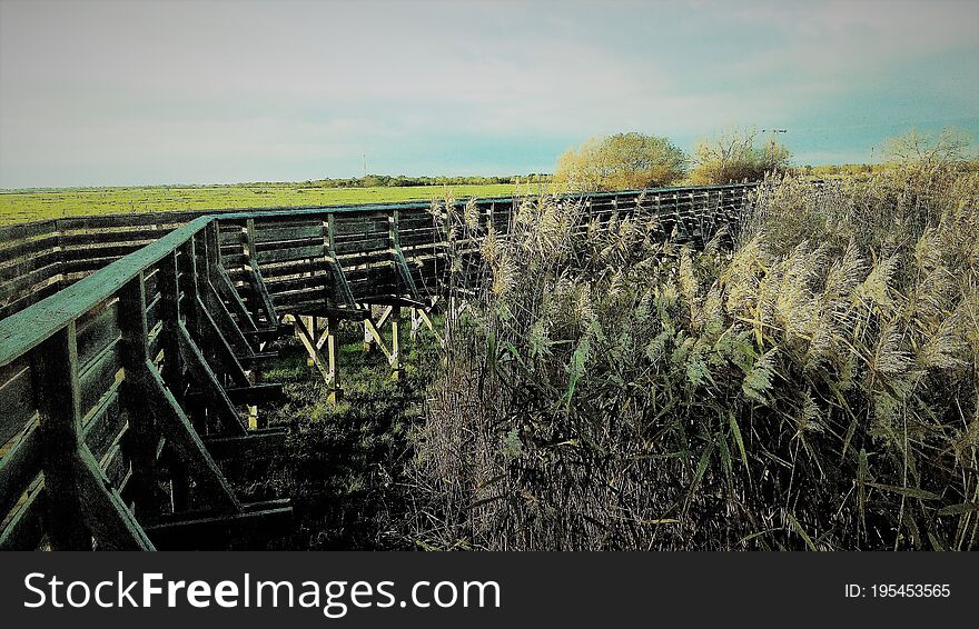 Panorama in the marshes
Photo taken in Loire Atlantique in Pays de la Loire in France. Panorama in the marshes
Photo taken in Loire Atlantique in Pays de la Loire in France.