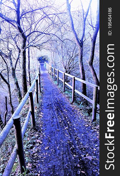 Panorama on a path in the marshes